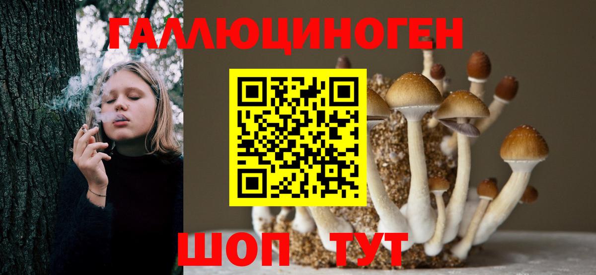 Лабинск  Псилоцибиновые грибы Cubensis  Псилоцибиновые грибы MAGIC MUSHROOMS  Вход с VPN 