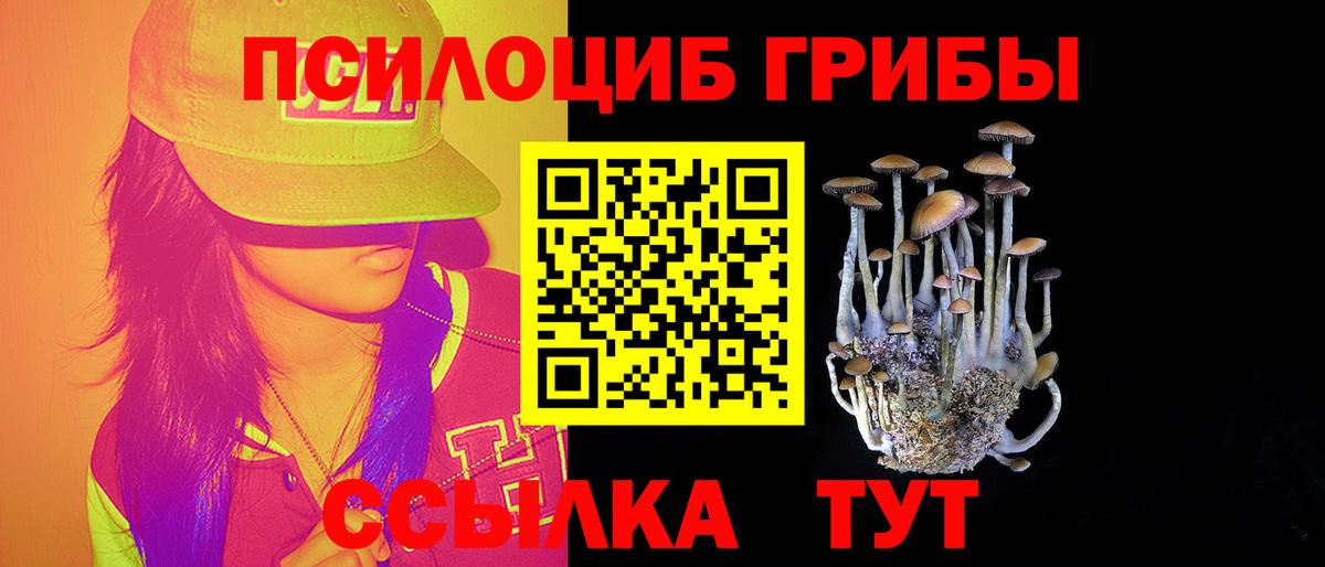 Галлюциногенные грибы Cubensis Лабинск